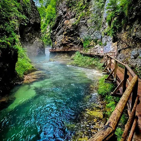 House Appartement Bled